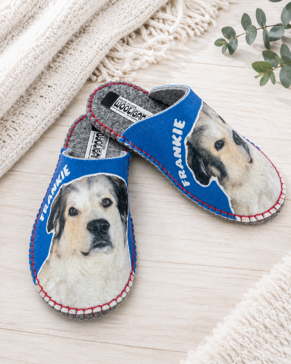 Custom photo WOOLIGANS slippers printed with a dog's face and the name Frankie on blue felt