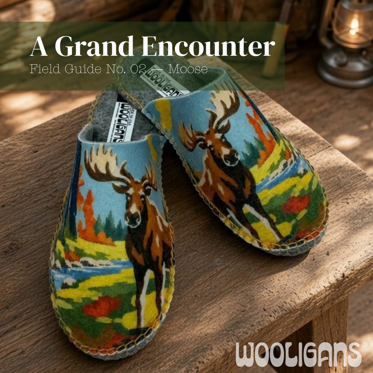The Field Guide Collection | DIY Slipper Kit